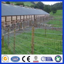 De alta calidad Galvanizado campo de malla de alambre valla / bisagra valla conjunta